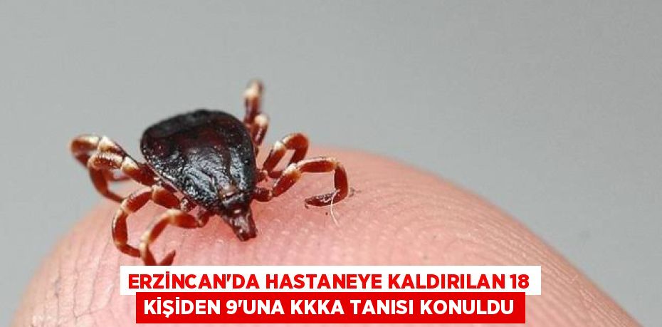 ERZİNCAN'DA HASTANEYE KALDIRILAN 18 KİŞİDEN 9'UNA KKKA TANISI KONULDU