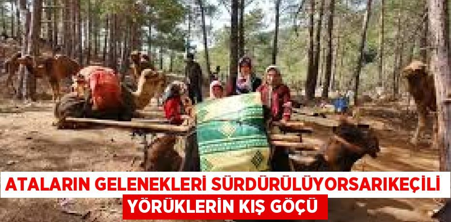 ATALARIN GELENEKLERİ SÜRDÜRÜLÜYORSARIKEÇİLİ YÖRÜKLERİN KIŞ GÖÇÜ