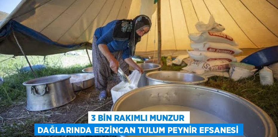 3 BİN RAKIMLI MUNZUR DAĞLARINDA ERZİNCAN TULUM PEYNİR EFSANESİ