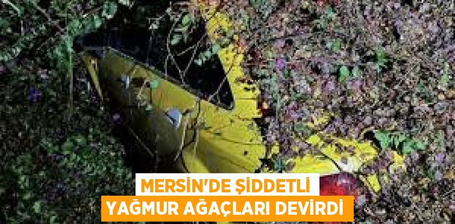 MERSİN'DE ŞİDDETLİ YAĞMUR AĞAÇLARI DEVİRDİ