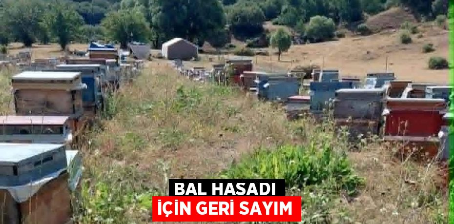 BAL HASADI İÇİN GERİ SAYIM
