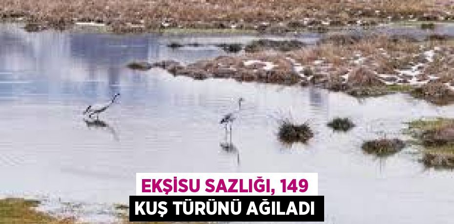 EKŞİSU SAZLIĞI, 149 KUŞ TÜRÜNÜ AĞILADI
