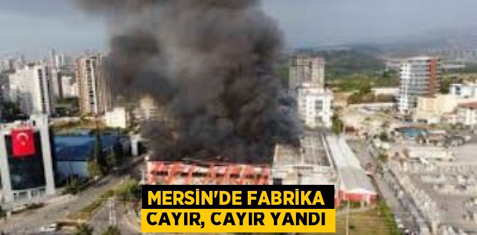 MERSİN'DE FABRİKA CAYIR, CAYIR YANDI