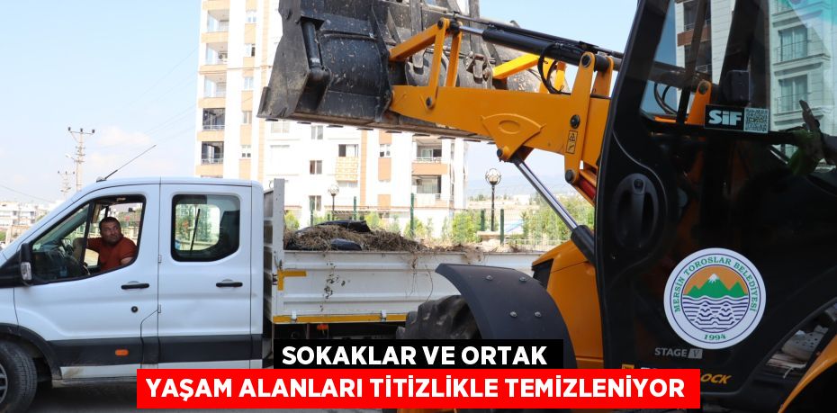 SOKAKLAR VE ORTAK YAŞAM ALANLARI TİTİZLİKLE TEMİZLENİYOR