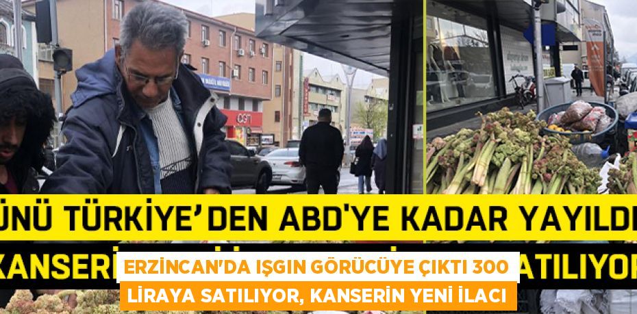 ERZİNCAN’DA IŞGIN GÖRÜCÜYE ÇIKTI 300 LİRAYA SATILIYOR, KANSERİN YENİ İLACI