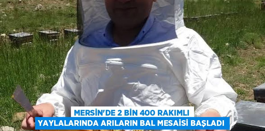 MERSİN'DE 2 BİN 400 RAKIMLI YAYLALARINDA ARILARIN BAL MESAİSİ BAŞLADI