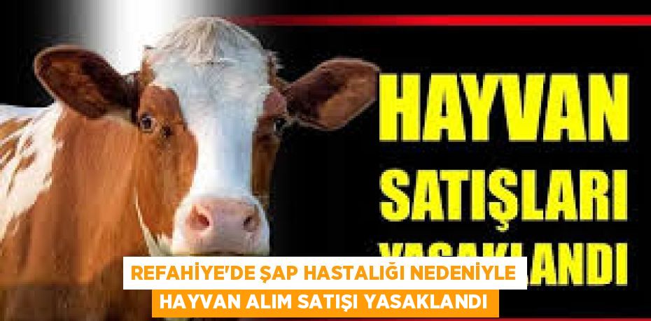 REFAHİYE’DE ŞAP HASTALIĞI NEDENİYLE HAYVAN ALIM SATIŞI YASAKLANDI