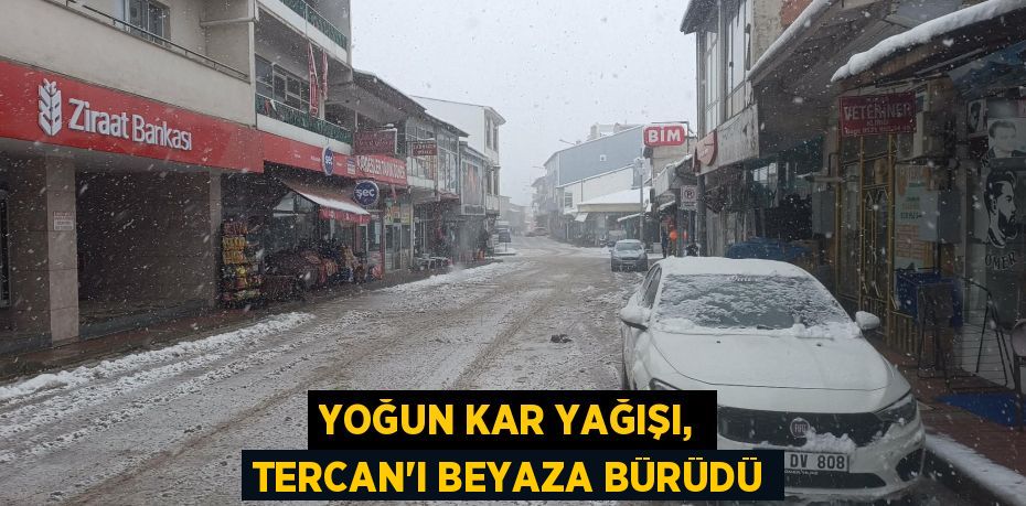 YOĞUN KAR YAĞIŞI, TERCAN’I BEYAZA BÜRÜDÜ