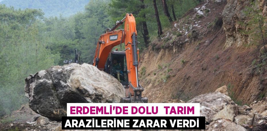 ERDEMLİ'DE DOLU  TARIM ARAZİLERİNE ZARAR VERDİ