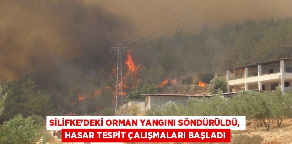 SİLİFKE’DEKİ ORMAN YANGINI SÖNDÜRÜLDÜ, HASAR TESPİT ÇALIŞMALARI BAŞLADI