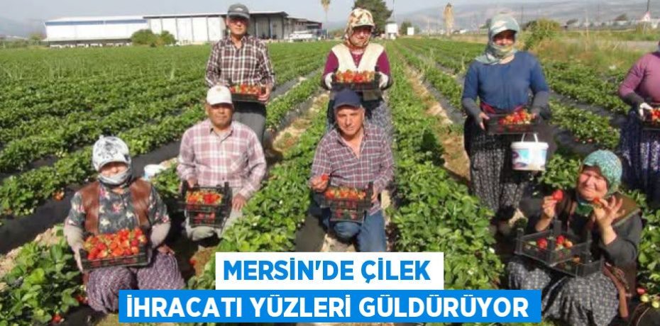 MERSİN’DE ÇİLEK İHRACATI YÜZLERİ GÜLDÜRÜYOR