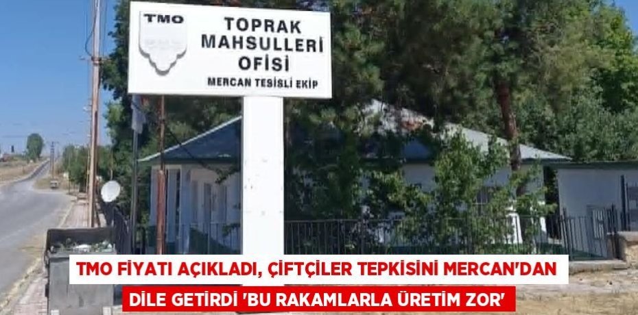 TMO FİYATI AÇIKLADI, ÇİFTÇİLER TEPKİSİNİ MERCAN’DAN DİLE GETİRDİ “BU RAKAMLARLA ÜRETİM ZOR”