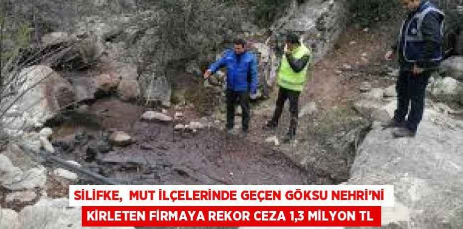 SİLİFKE,  MUT İLÇELERİNDE GEÇEN GÖKSU NEHRİ'Nİ KİRLETEN FİRMAYA REKOR CEZA 1,3 MİLYON TL