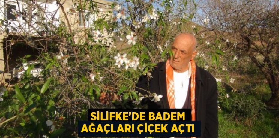 SİLİFKE’DE BADEM AĞAÇLARI ÇİÇEK AÇTI