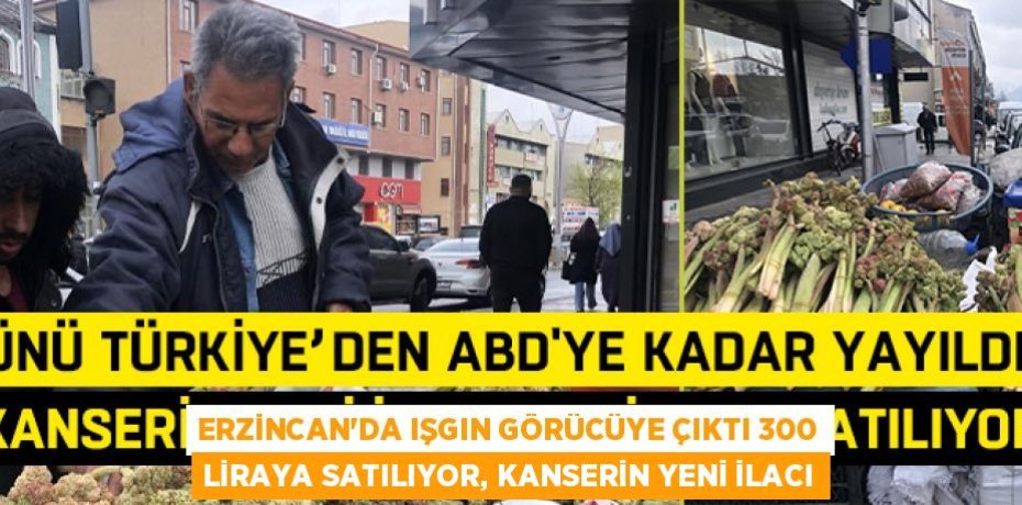 ERZİNCAN’DA IŞGIN GÖRÜCÜYE ÇIKTI 300 LİRAYA SATILIYOR, KANSERİN YENİ İLACI