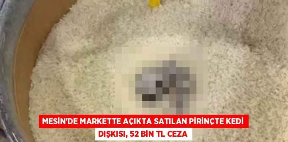 MESİN'DE MARKETTE AÇIKTA SATILAN PİRİNÇTE KEDİ DIŞKISI, 52 BİN TL CEZA