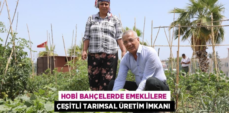 HOBİ BAHÇELERDE EMEKLİLERE ÇEŞİTLİ TARIMSAL ÜRETİM İMKANI