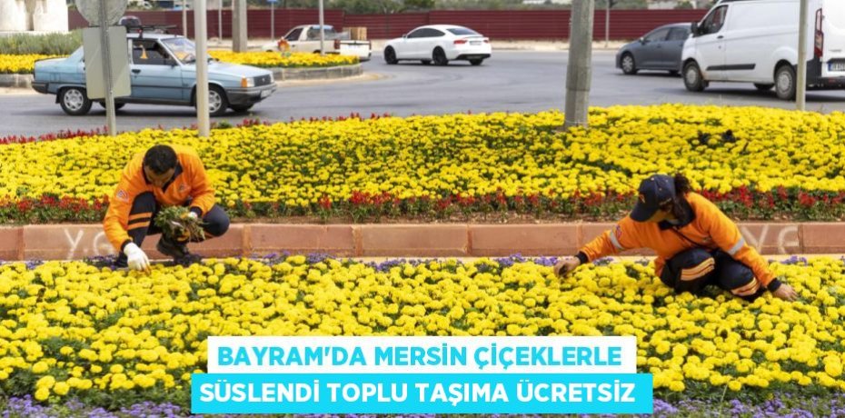 BAYRAM’DA MERSİN ÇİÇEKLERLE SÜSLENDİ TOPLU TAŞIMA ÜCRETSİZ