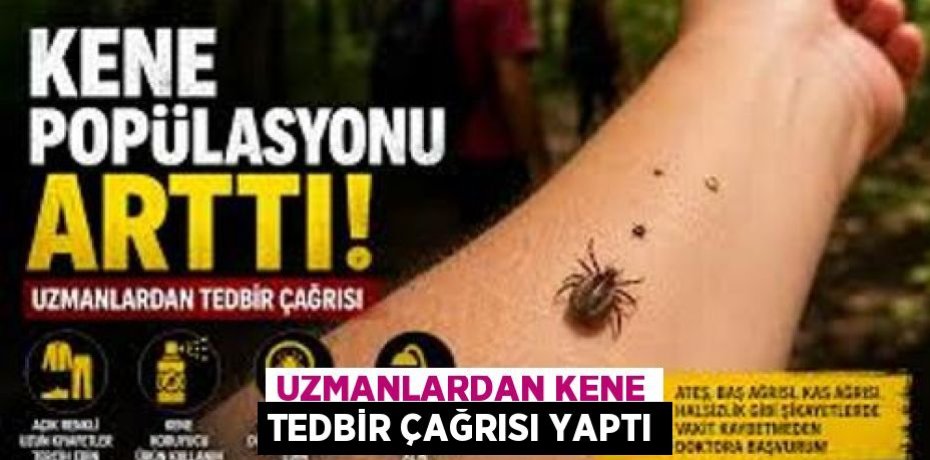 UZMANLARDAN KENE TEDBİR ÇAĞRISI YAPTI