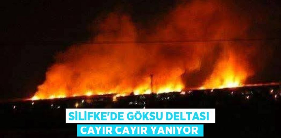 SİLİFKE’DE GÖKSU DELTASI CAYIR CAYIR YANIYOR